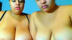 2 busty cousins