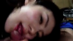 Japanese couple blowjob POV #1