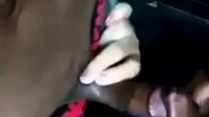 malay melayu tudung