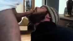 Young Bear Swallows Wrestling Coach Cum