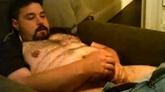 Chubby bear cumming