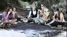 Wild group sex babes fucked