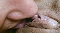 Close up amateur blowjob and hole licking