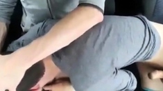 Big Cock Blowjob in the Car at a Public Park