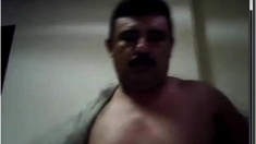 Bigote Maduro: Oso Amateur