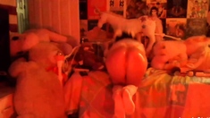 Ftv girl orianna amateur teen redhead babe panty stuffing i