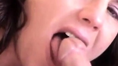Close Up Blowjob